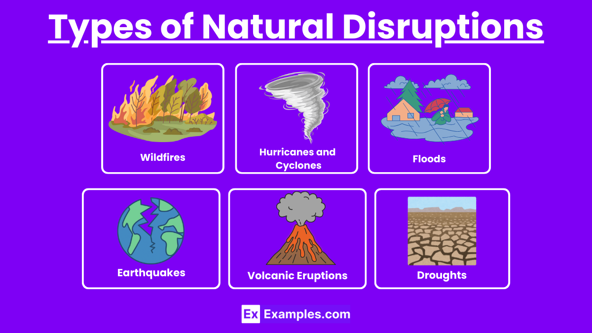 Types of Natural Disruptions