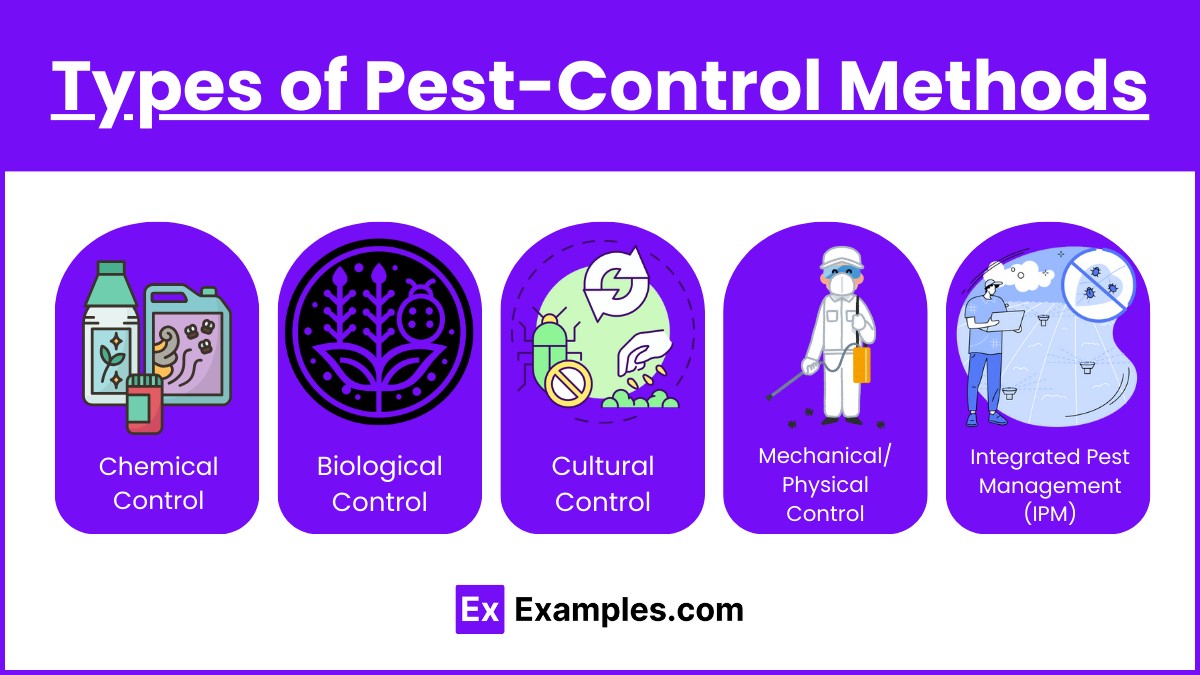 Types of Pest-Control Methods