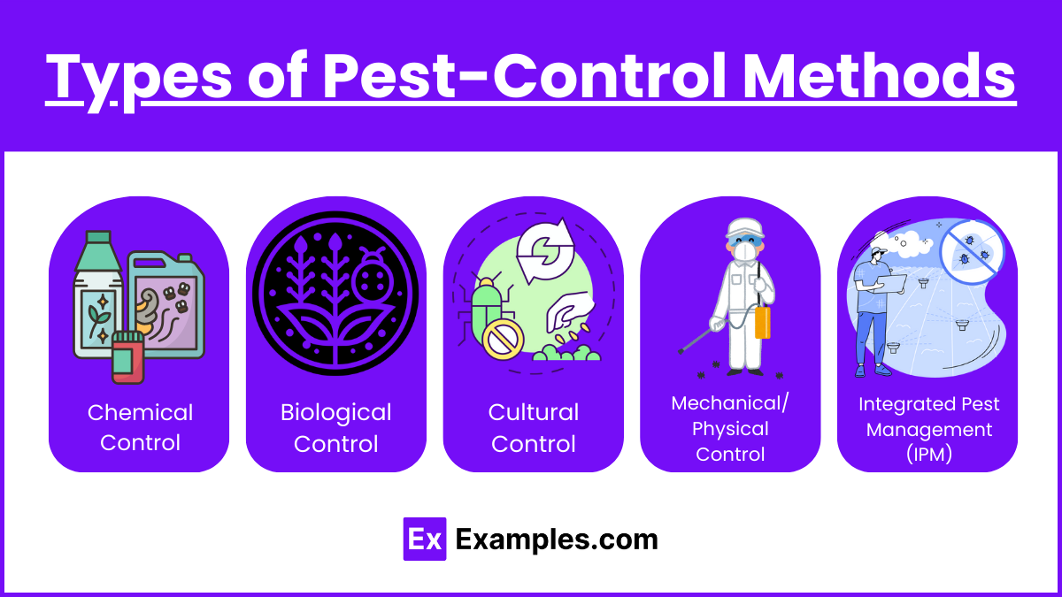 Pest Control Services