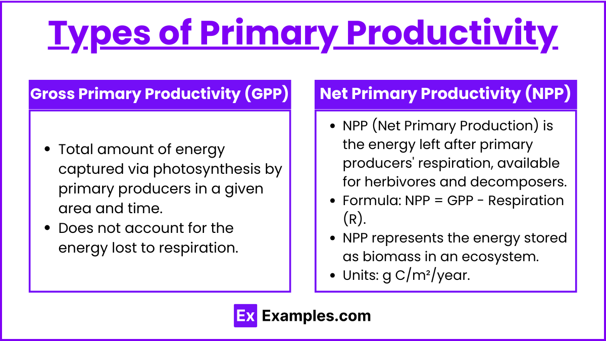 Types of Primary Productivity