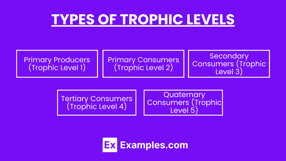 Types of Trophic levels