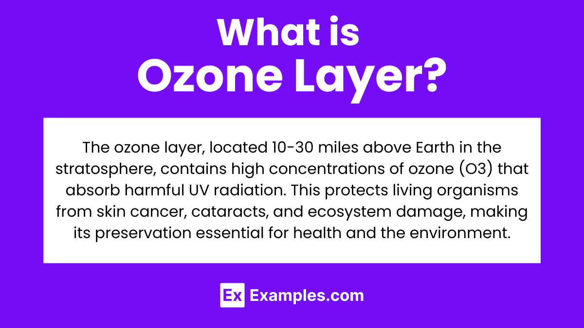 What is the Ozone Layer
