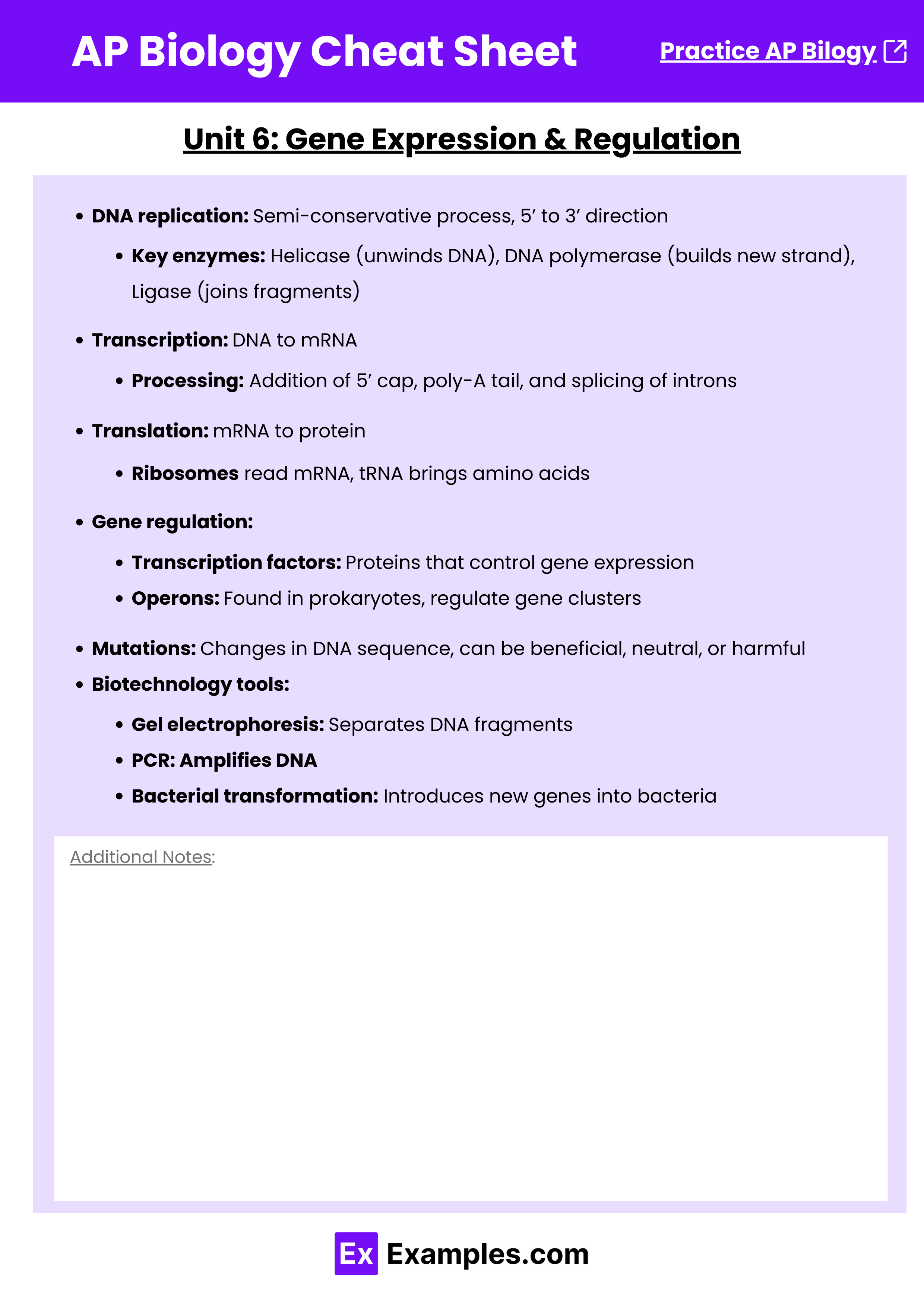 AP Biology Cheat Sheet - Unit 6