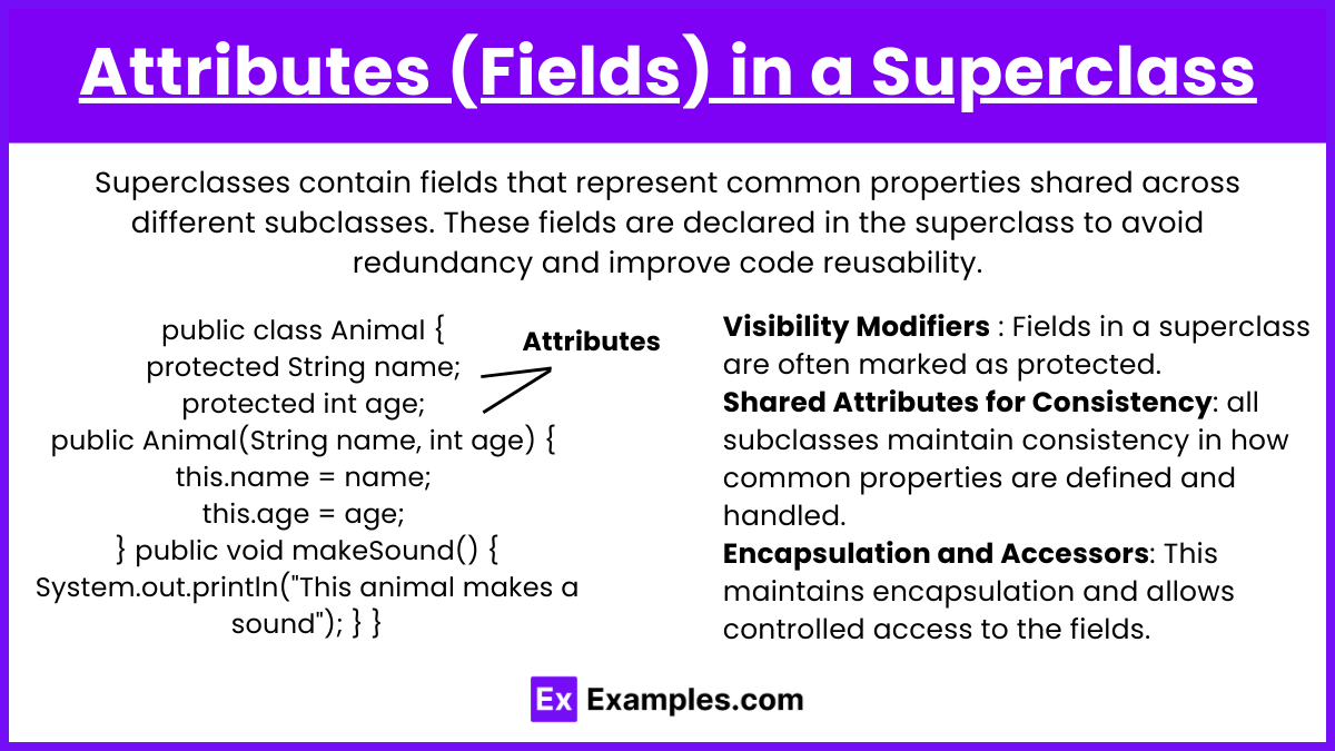 Attributes (Fields) in a Superclass