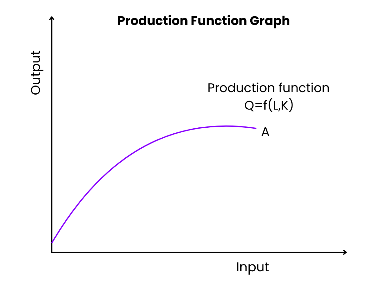 Components of the Production Function