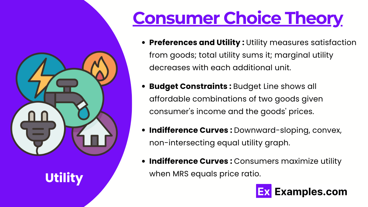 Consumer Choice Theory