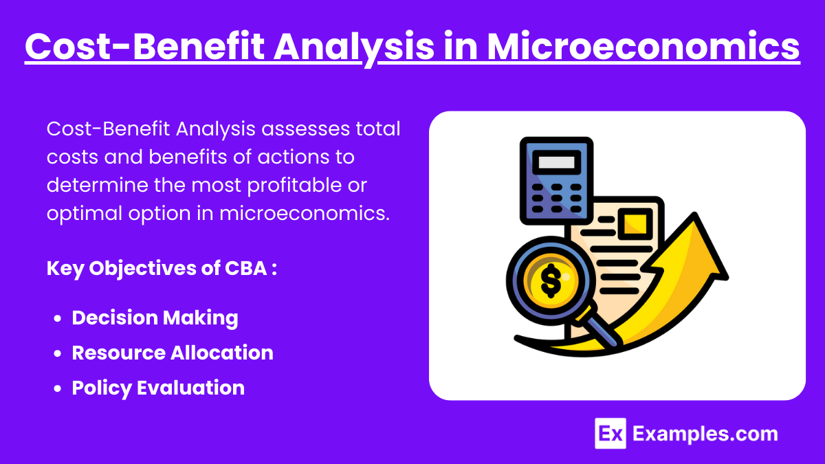 Cost-Benefit Analysis in Microeconomics