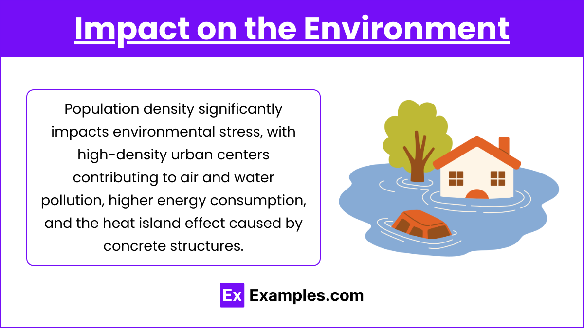 Impact on the Environment