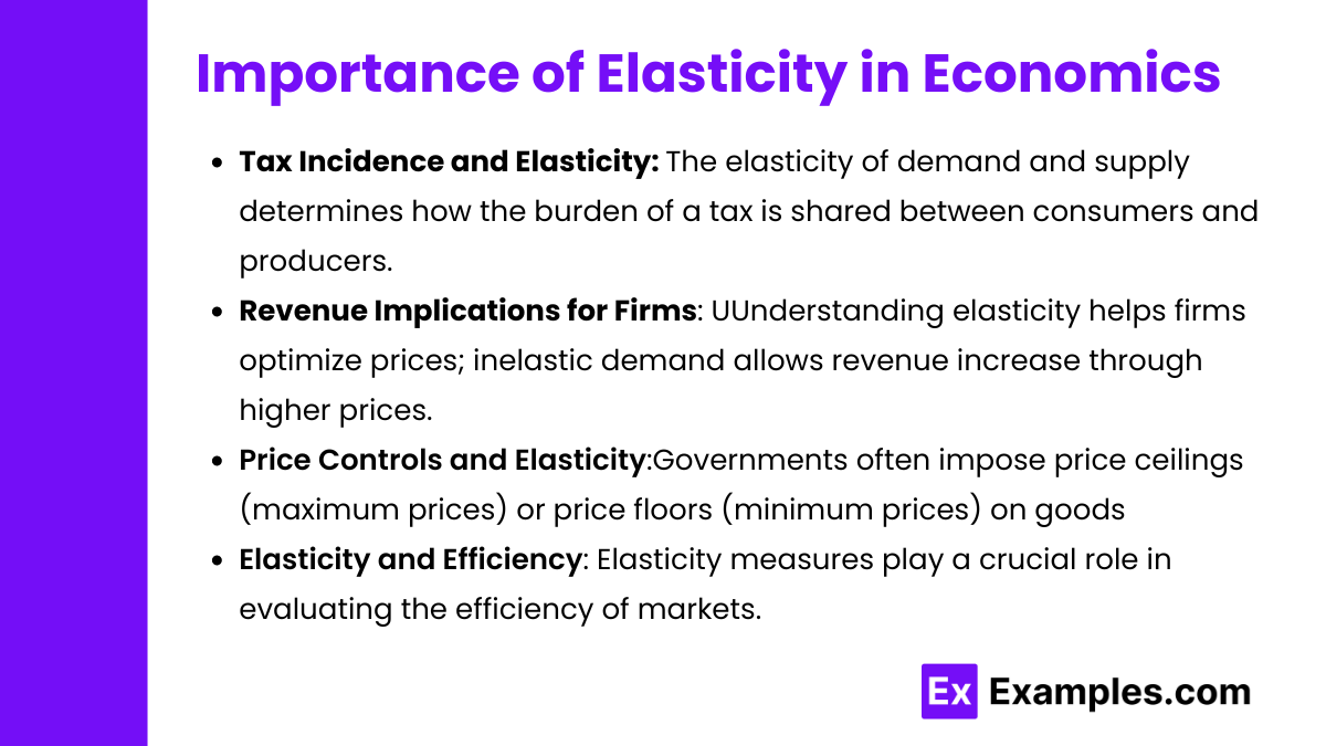 Importance of Elasticity in Economics