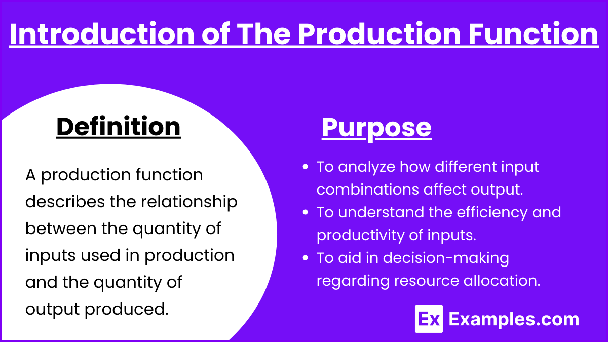 Introduction of The Production Function