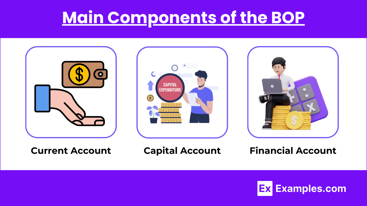 Main Components of the BOP 