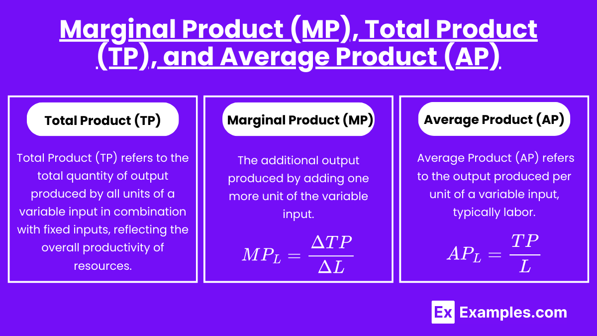 Marginal Product (MP), Total Product (TP), and Average Product (AP)