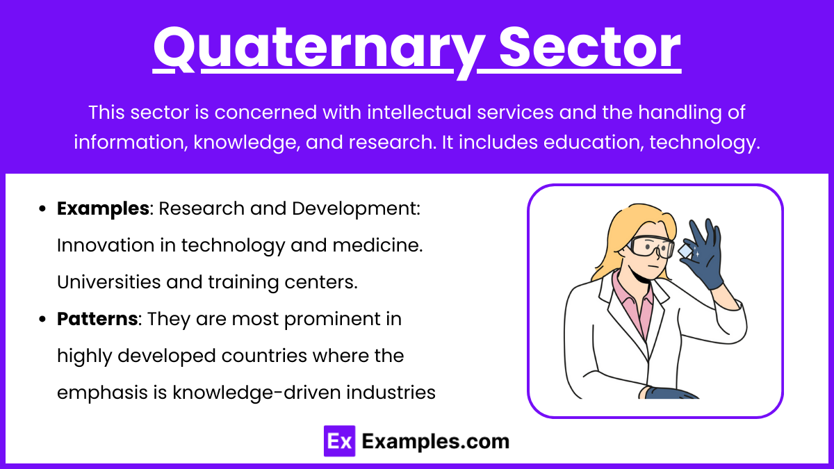 Quaternary Sector