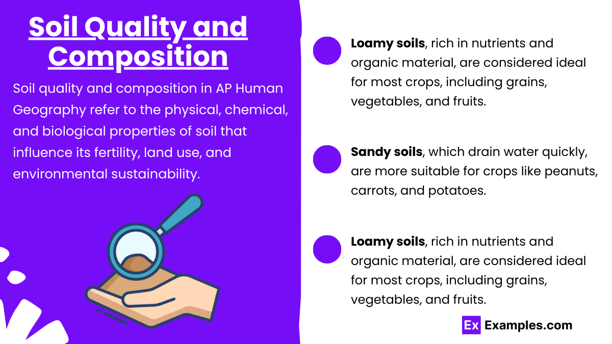 Soil Quality and Composition