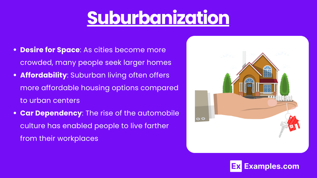 Unit 6.1 The Factors that Drive the Growth of Cities and Suburbs