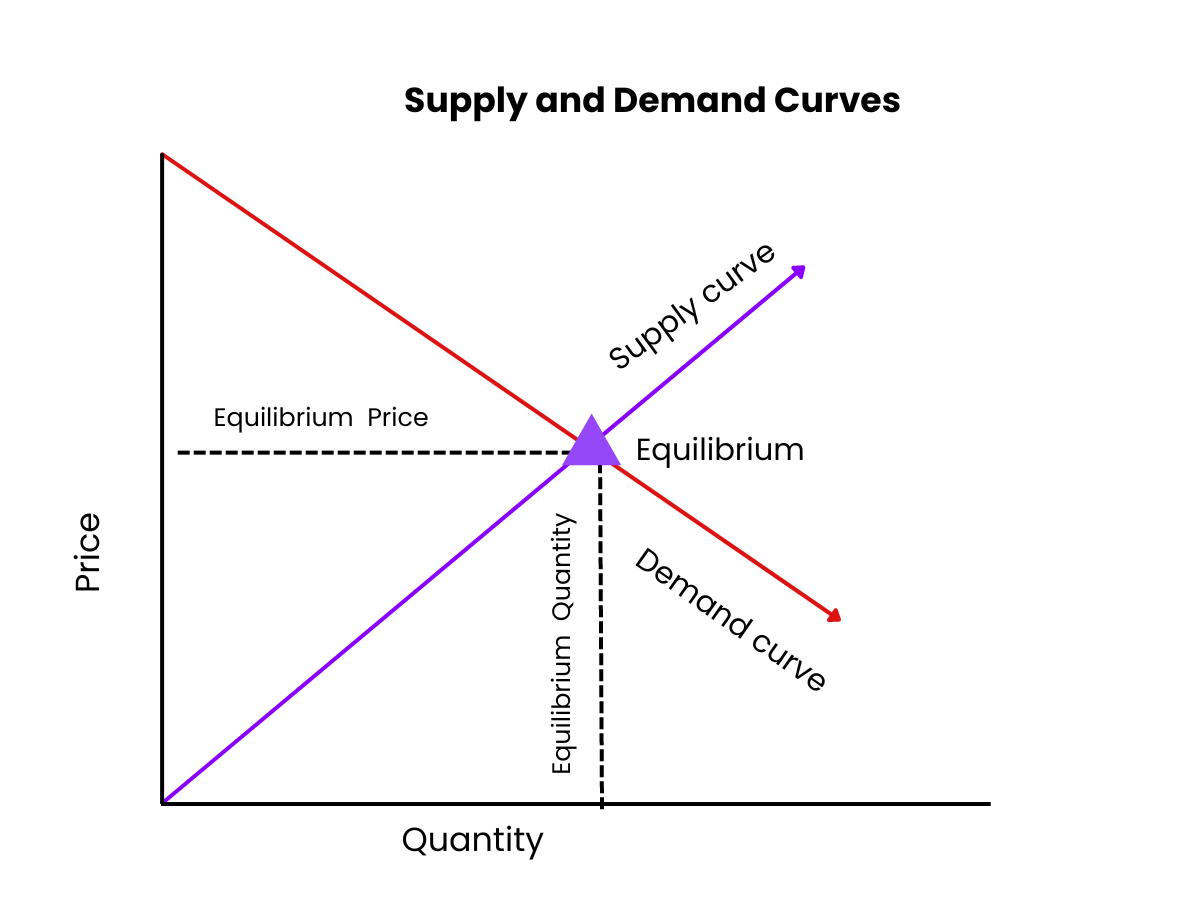 Supply and Demand Curves