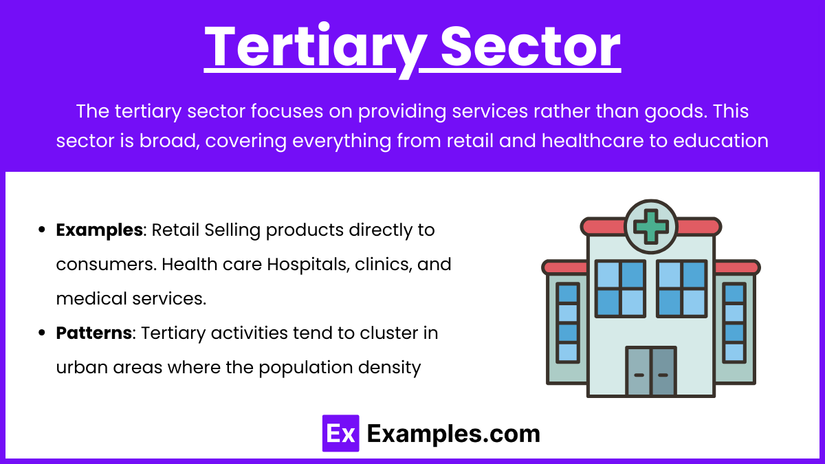 Tertiary Sector 