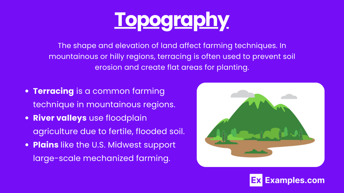 Topography