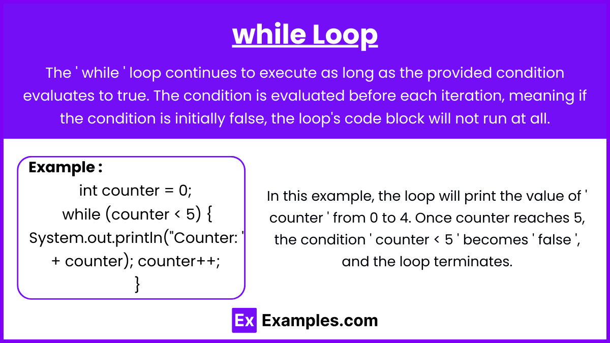 while Loop