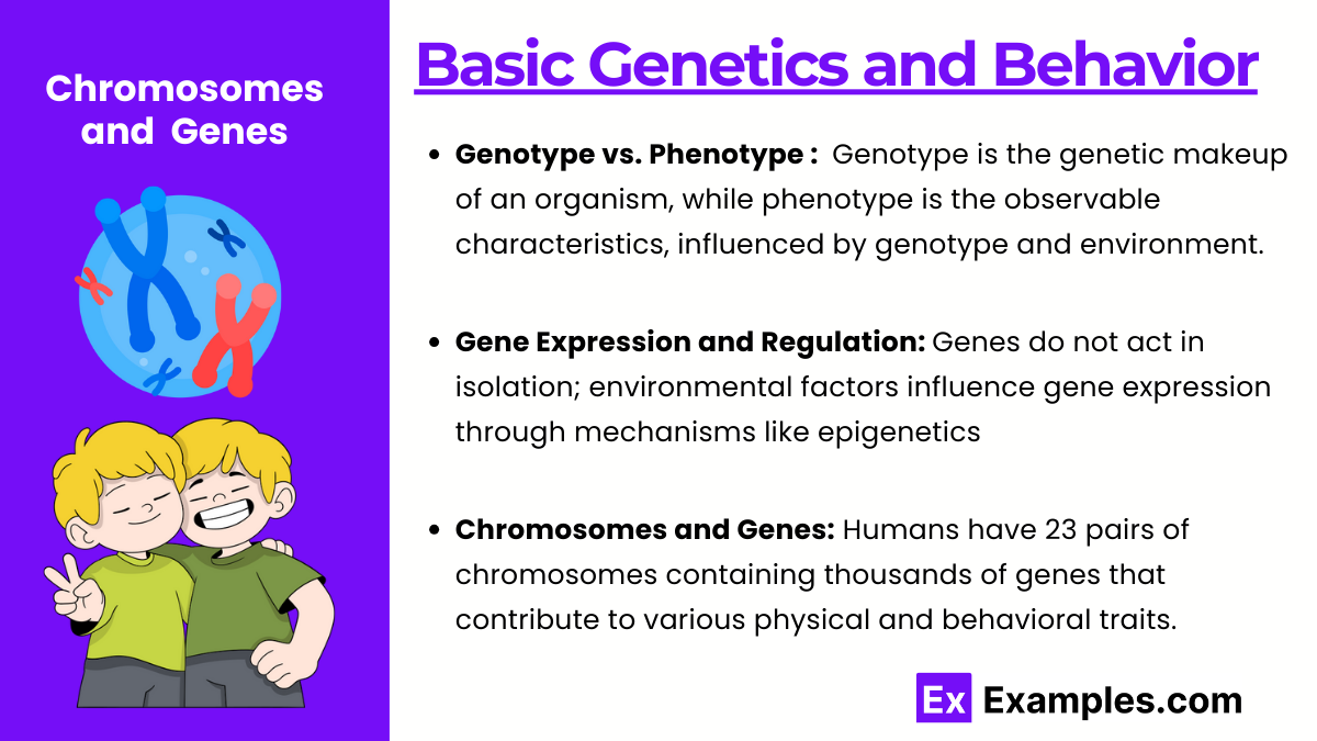 Basic Genetics and Behavior