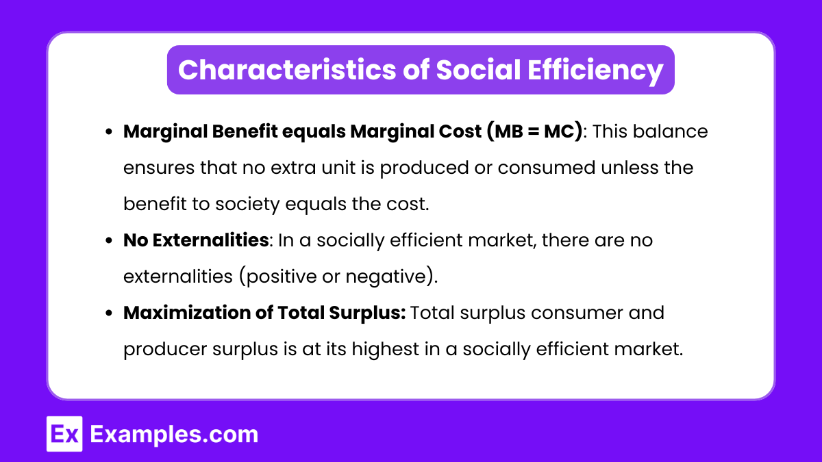 Characteristics of Social Efficiency