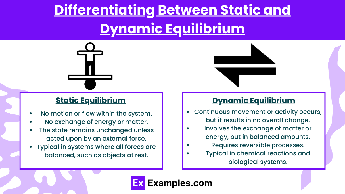 Differentiating Between Static and Dynamic Equilibrium