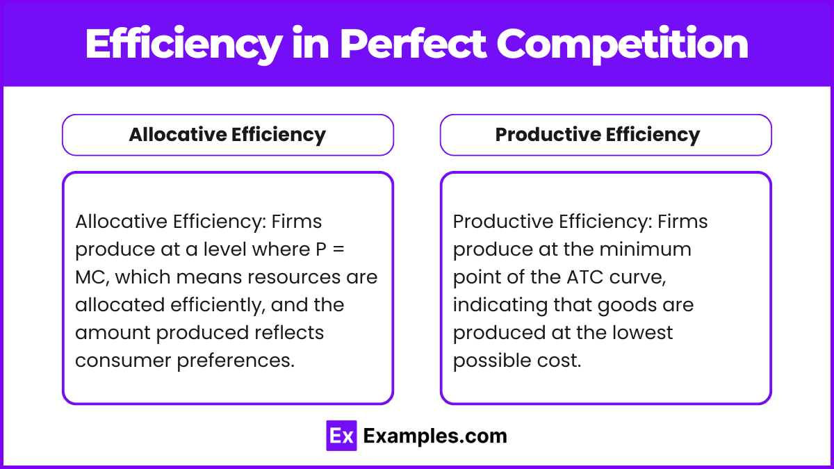 Efficiency in Perfect Competition