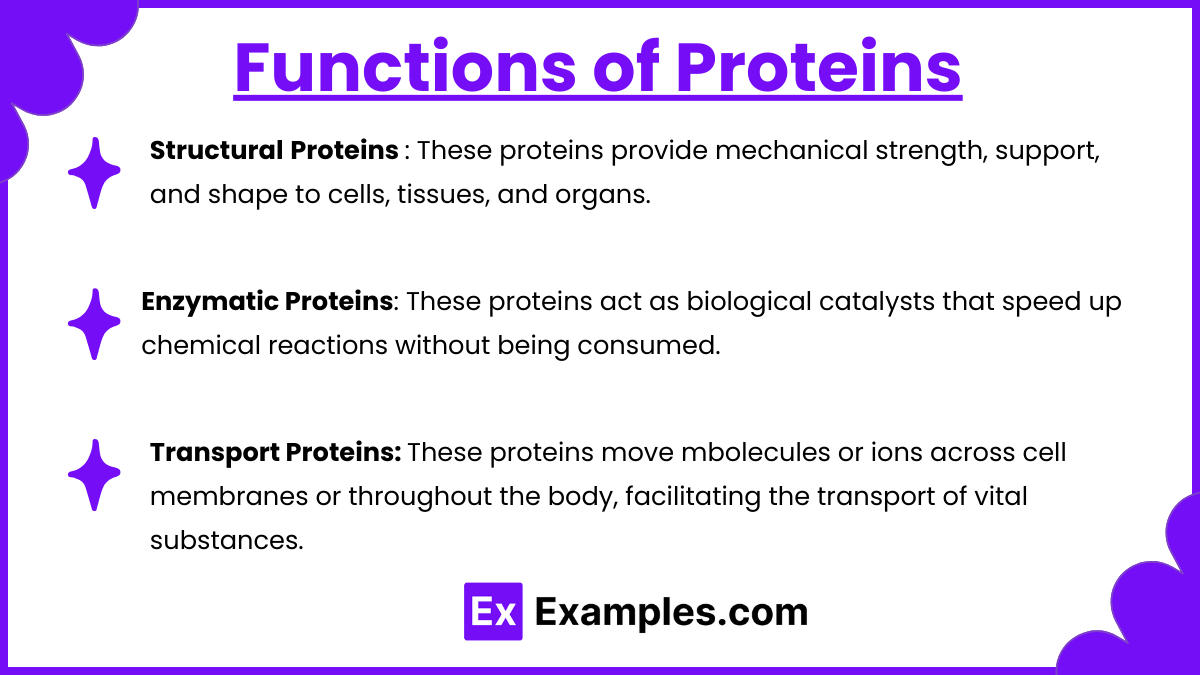 Functions of Proteins