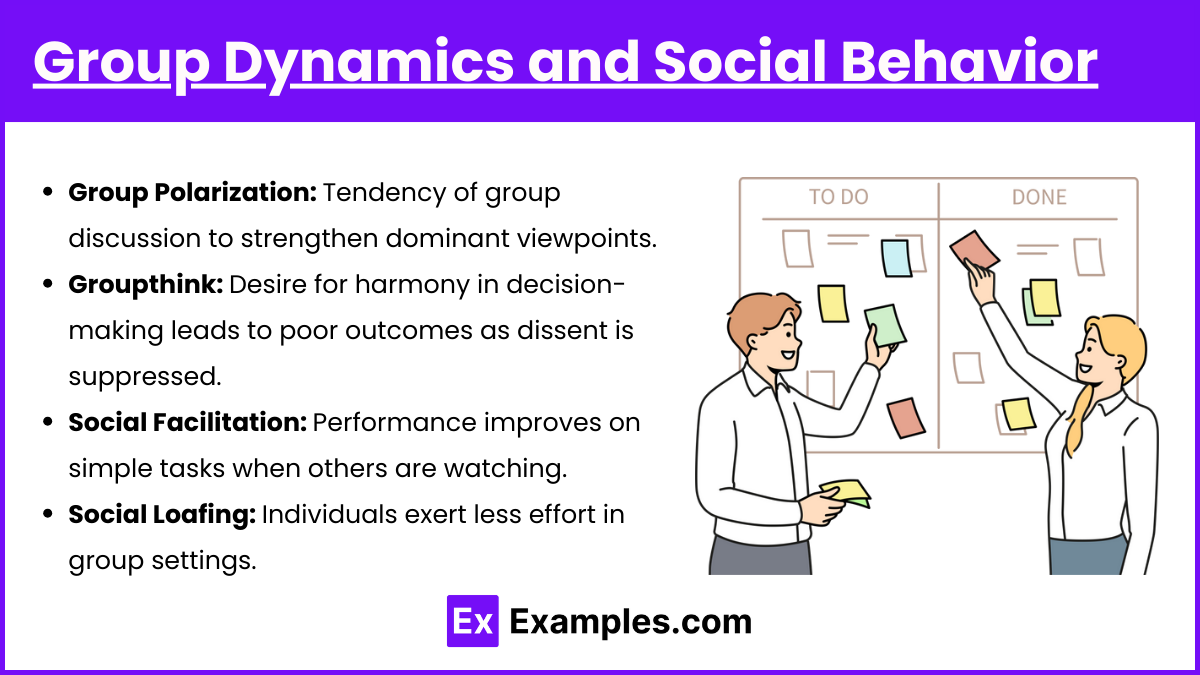 Group Dynamics and Social Behavior