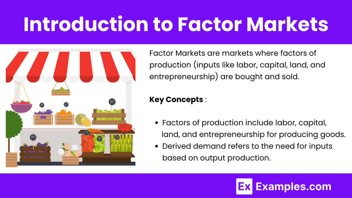 Introduction to Factor Markets 