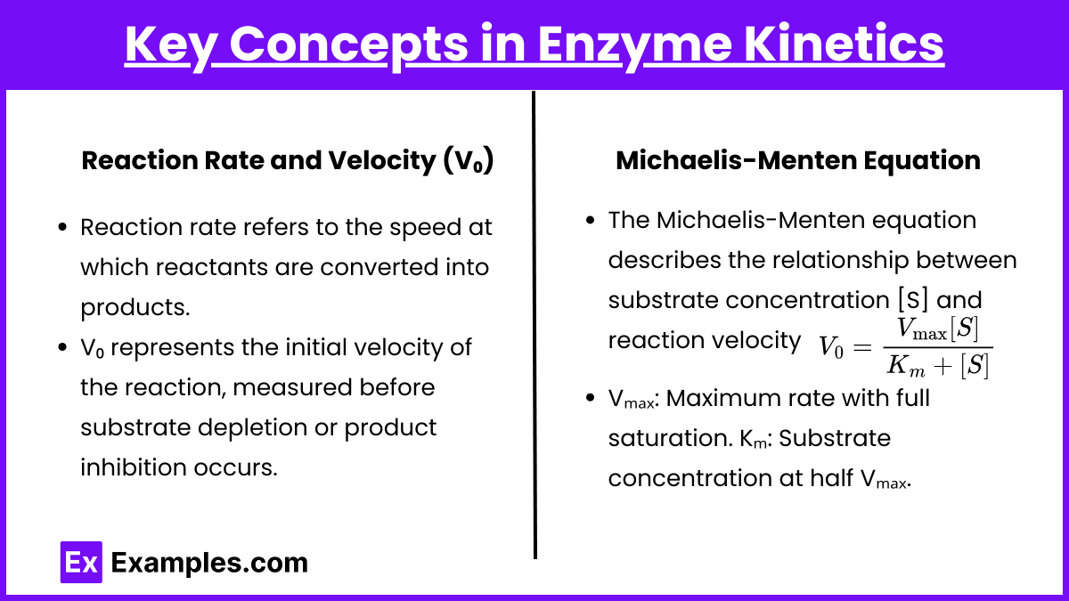 Key Concepts in Enzyme Kinetics