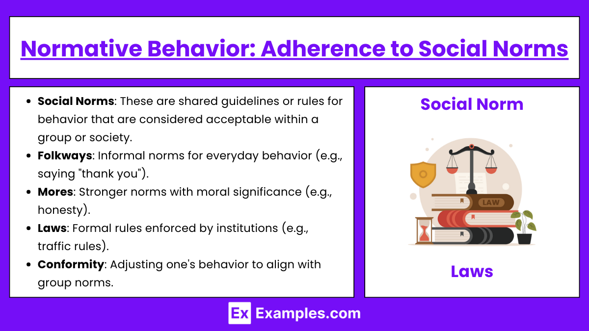 Normative Behavior Adherence to Social Norms