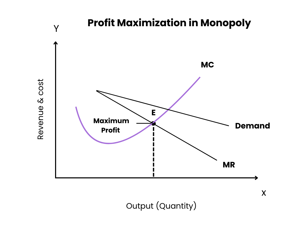 Profit Maximization in Monopoly