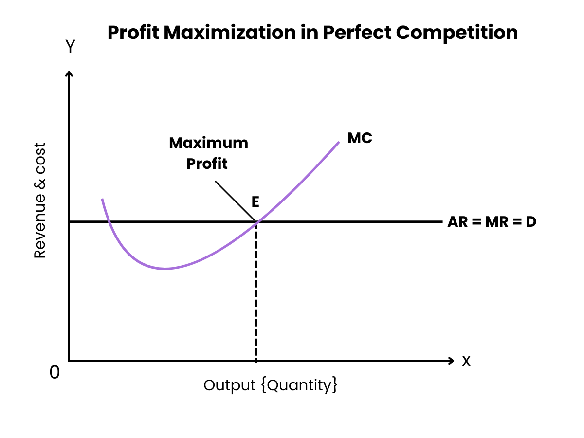 Profit Maximization in Perfect Competition