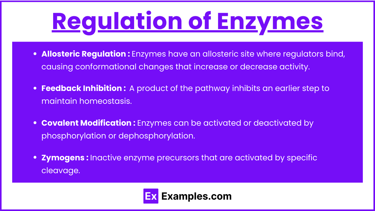 Regulation of Enzymes