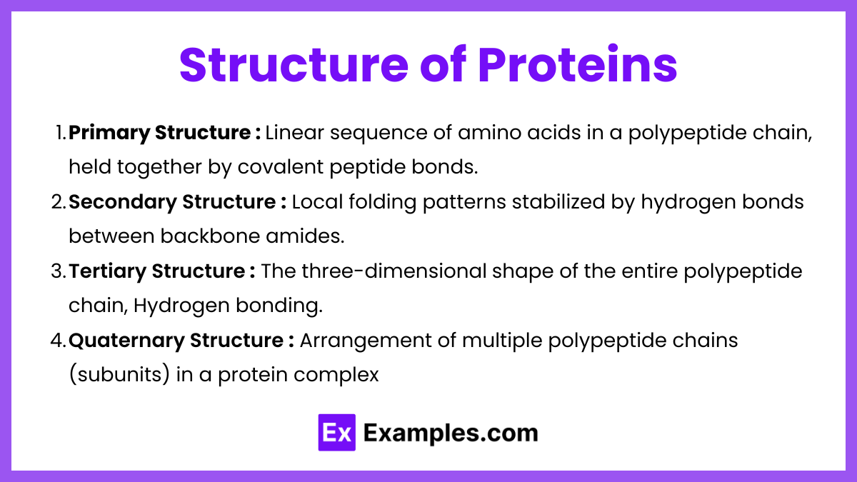 Structure of Proteins