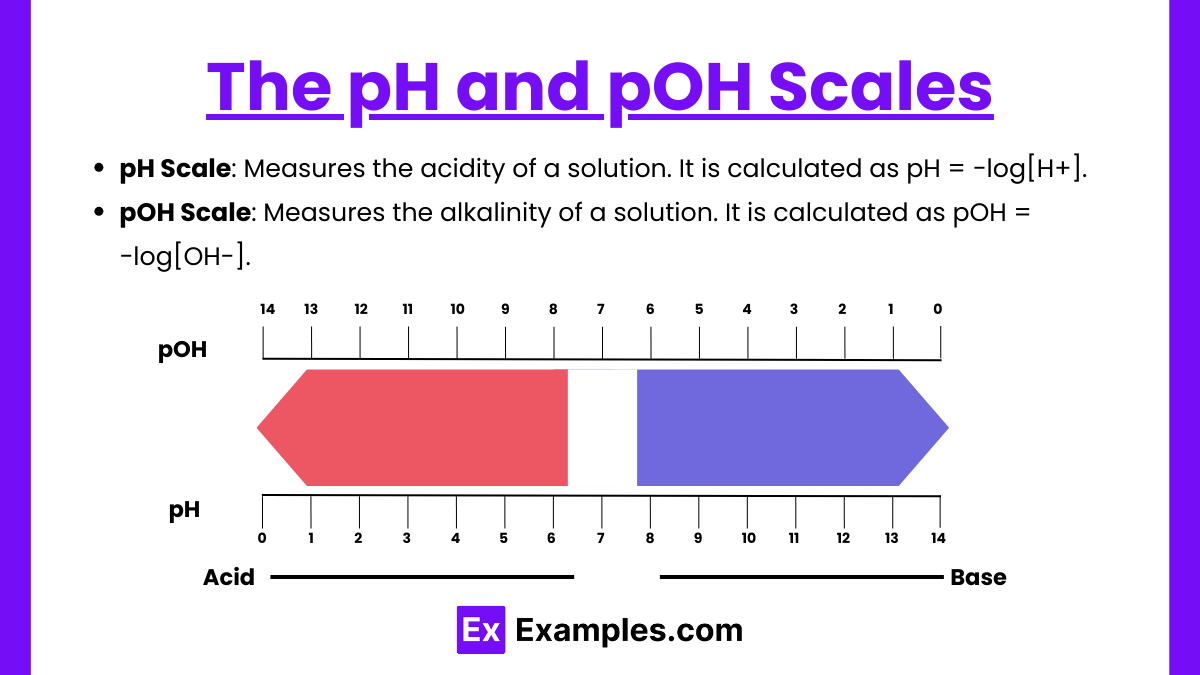 The pH and pOH Scales