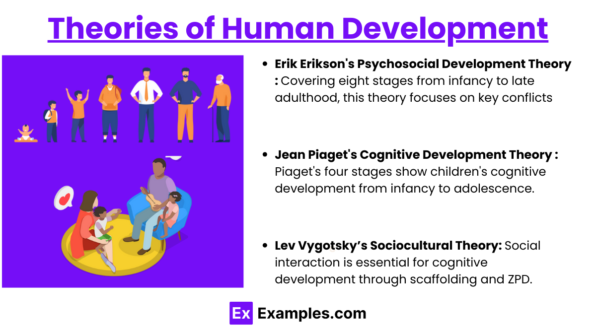 Theories of Human Development