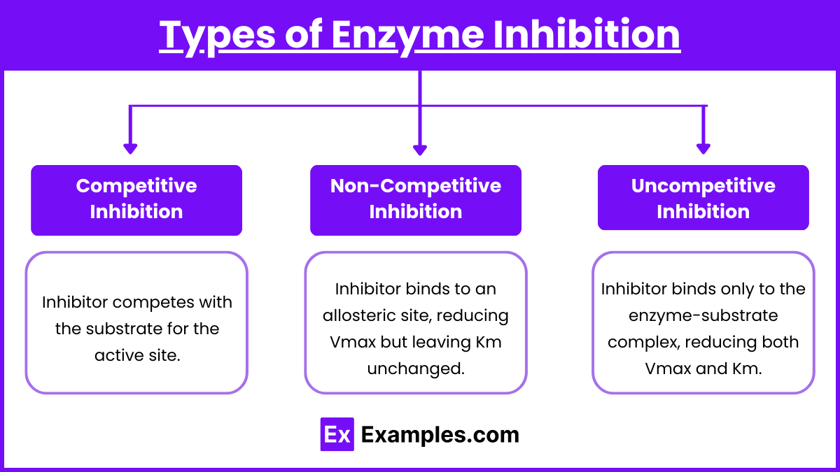 Types of Enzyme Inhibition