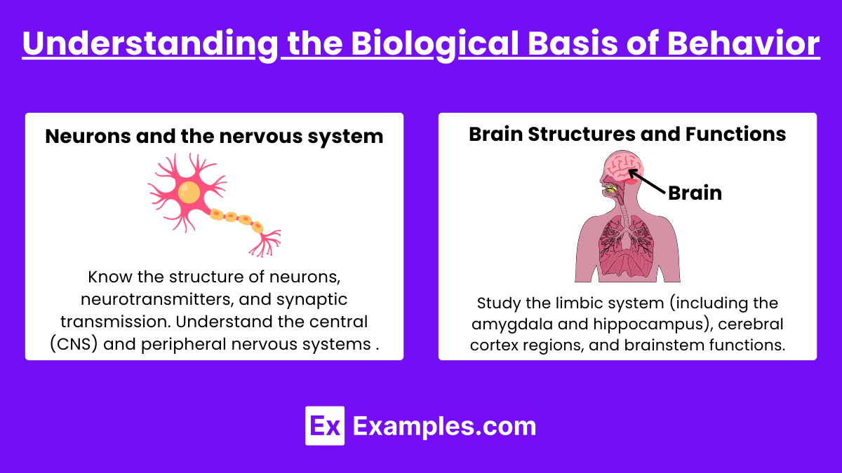 Foundations Of Behavior Passages: Practice Passages: Psychological ...