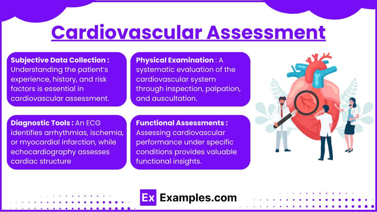 Cardiovascular Assessment