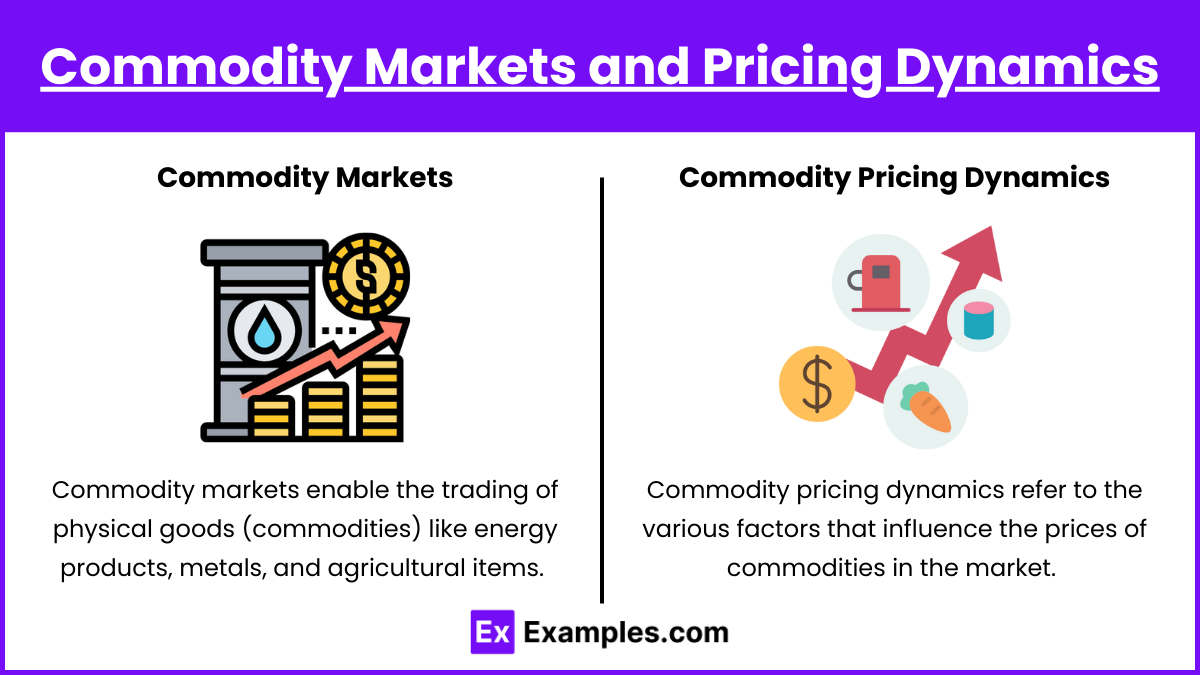 Commodity Markets and Pricing Dynamics