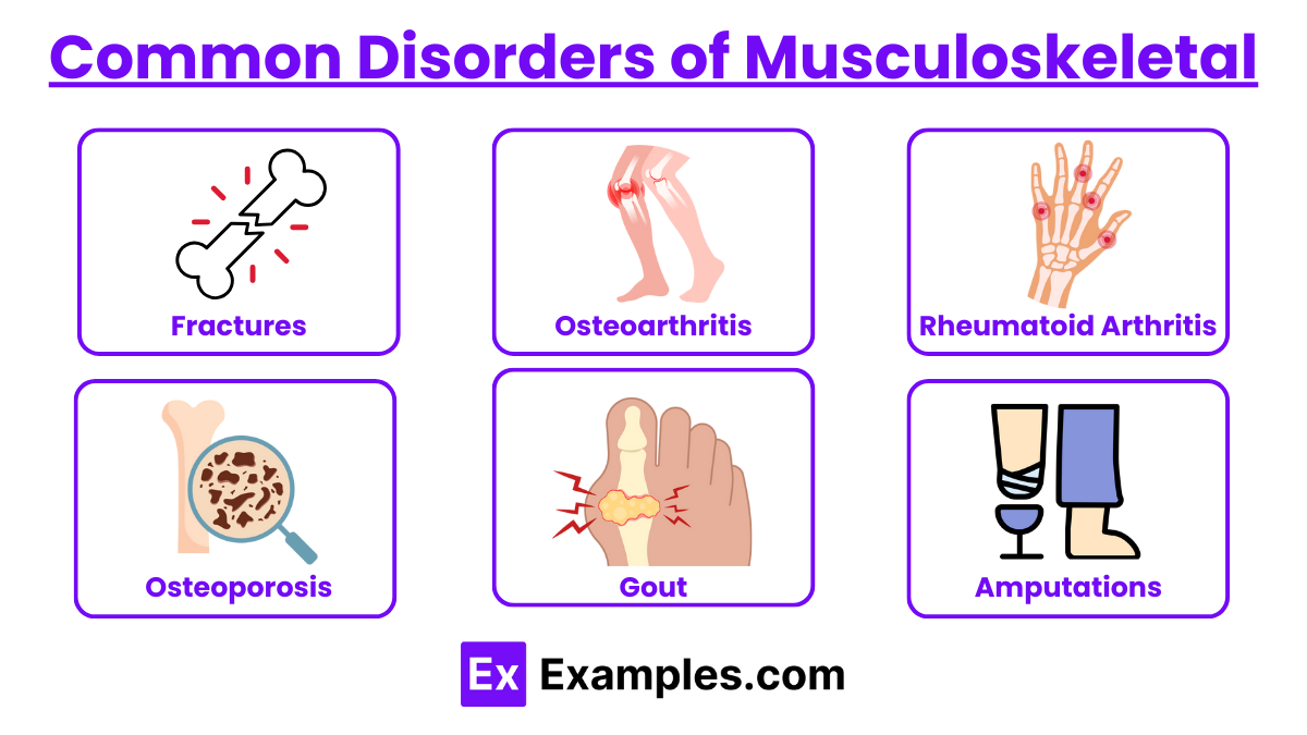 Common Disorders of Musculoskeletal