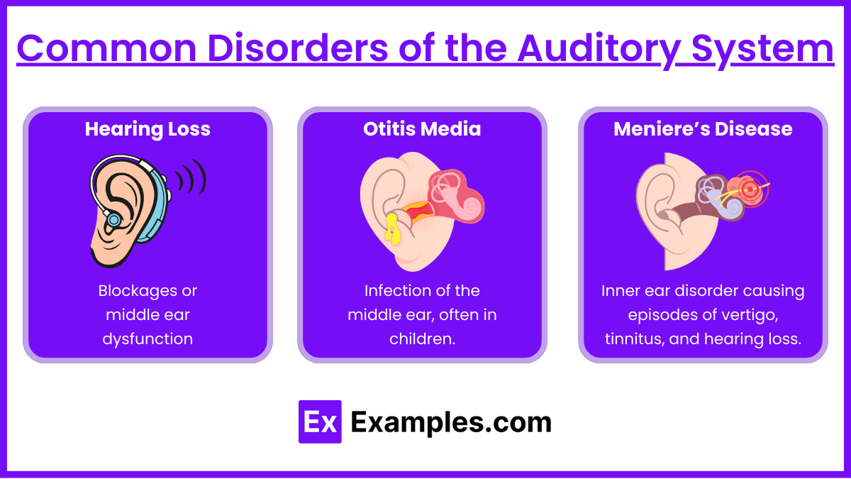 Common Disorders of the Auditory System