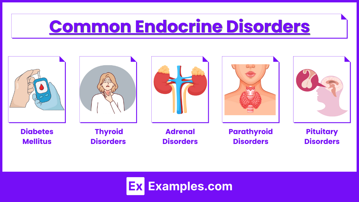 Common Endocrine Disorders