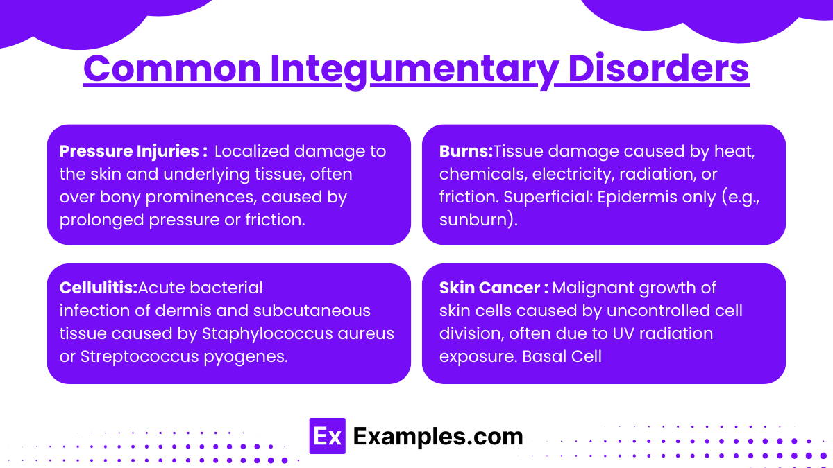 Common Integumentary Disorders