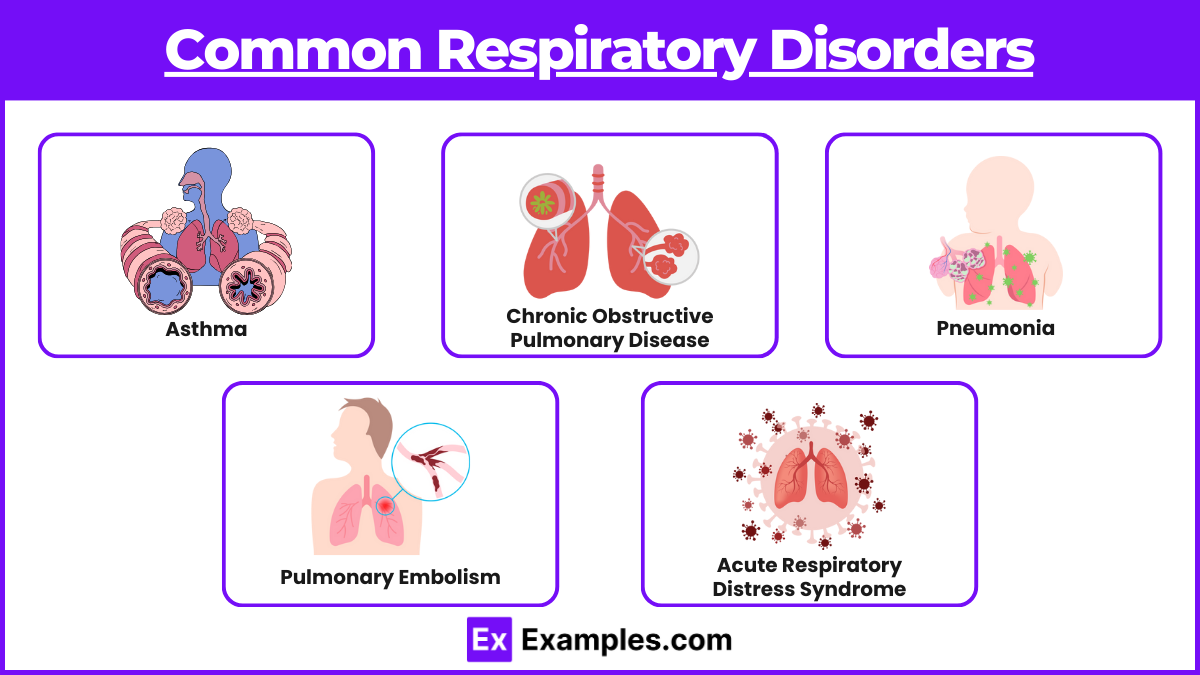 Common Respiratory Disorders