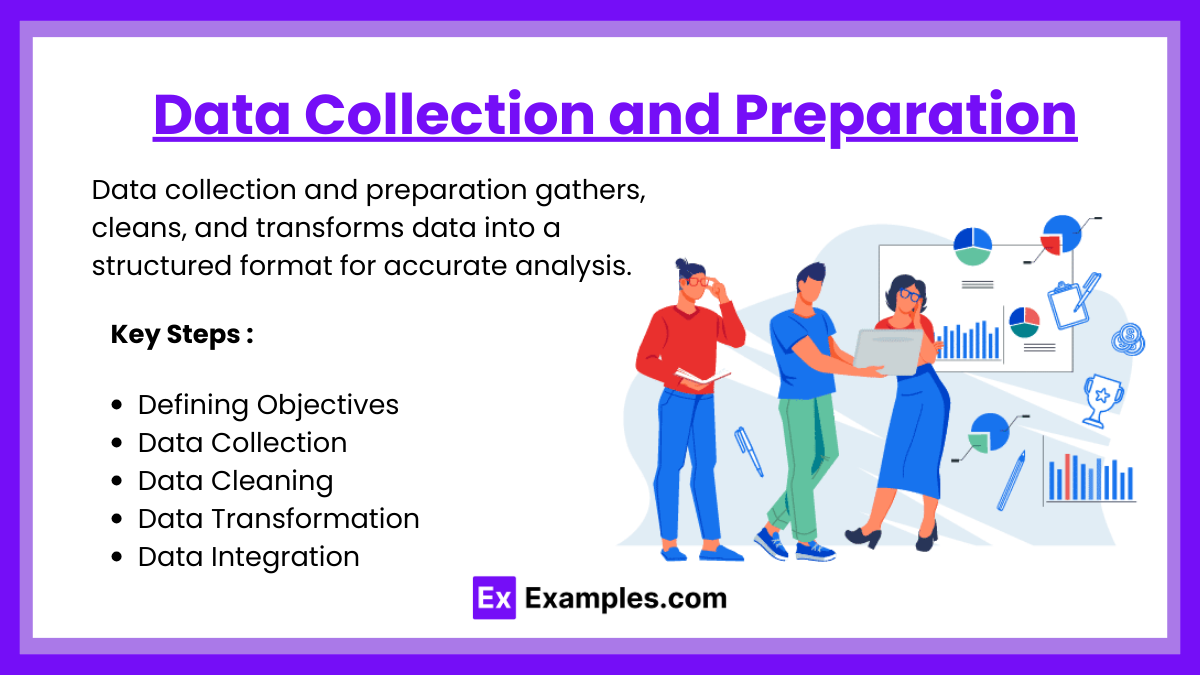 Data Collection and Preparation