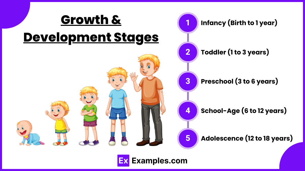 Growth & Development Stages