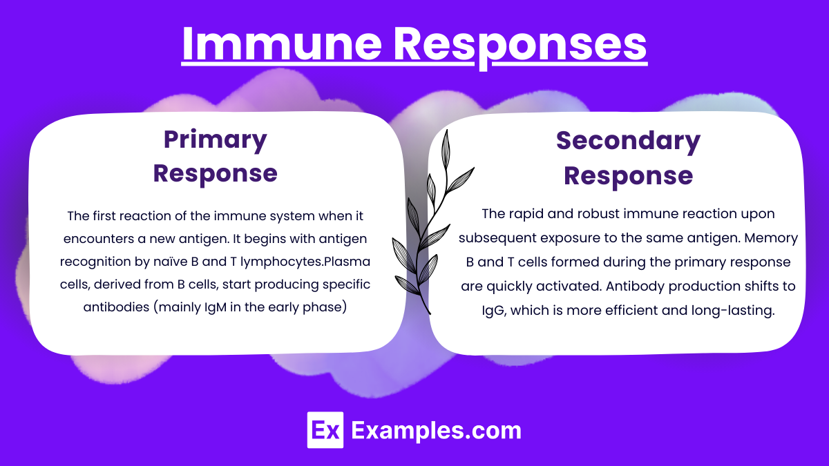 Immune Responses